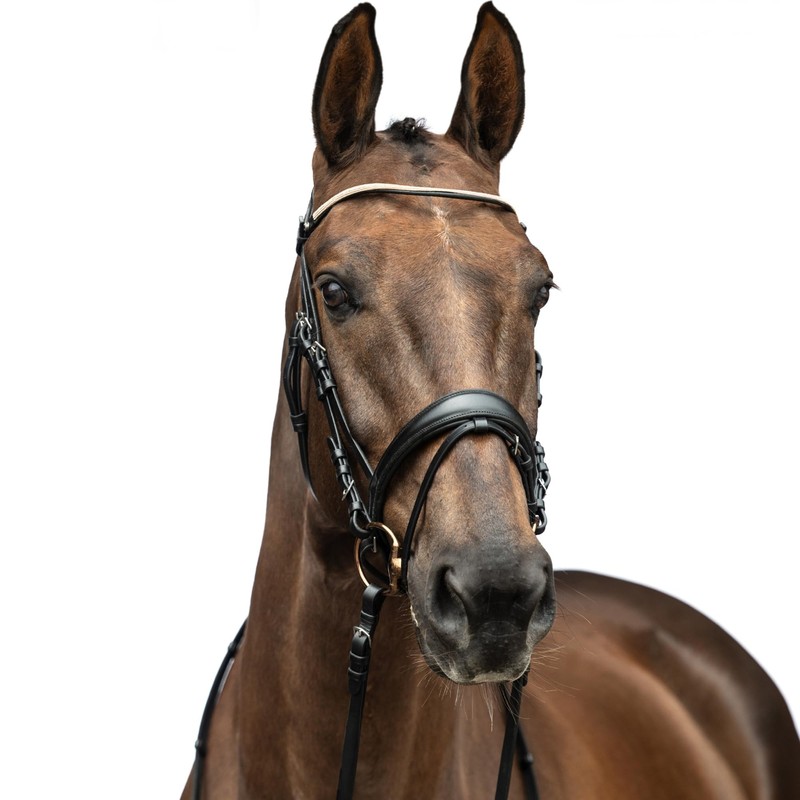 HKM Kopenhagen Trense, Schwarz, Vollblut