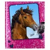 Horses Dreams Pink Secret Diary