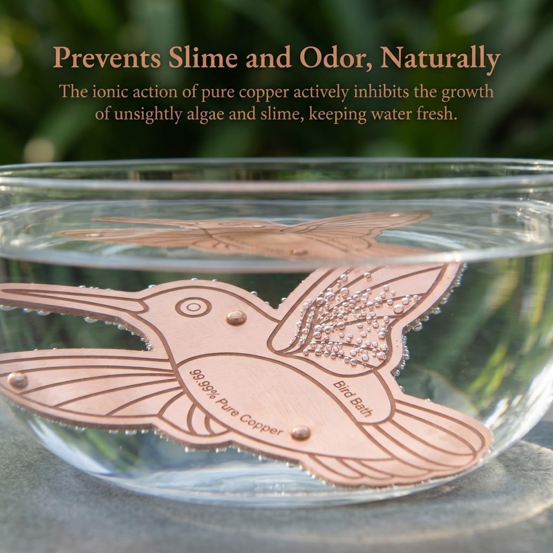 WAEKIYTL 99.99% Pure Copper Bird Bath Disk, 0.6mm Reinforced Triple-Point