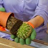 Gardening Gloves with Claws, 1 Set of 2 Gloves Unisex