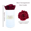 Eternal Blossom Preserved Real Infinity Rose | Eternal Rose That