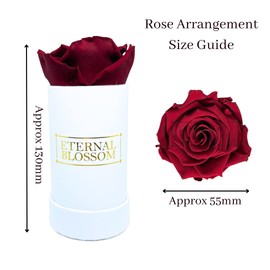 Eternal Blossom Preserved Real Infinity Rose | Eternal Rose That Lasts Over A Year White Box | With Gift Box (Rouge Red)