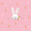 20 Servietten Osterhase auf rosa mit Möhre und Blumen 33cm