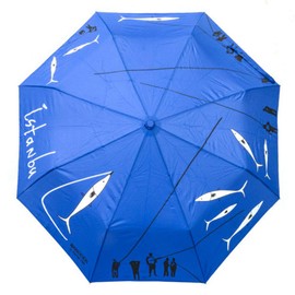 Biggdesign Compact Travel Umbrella, Mini Rain and Sun Umbrella with UV Protection, Ultra Lightweight, Automatic, Portable, 8 Ribs Folding Umbrella For Women, 21 inc, Blue Color