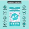 PUR Xylitol Chewing Gum WINTERGREEN (55 Pieces, 4 Pack) Sugarless