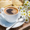 Berglander Coffee Spoons Set of 12, Stainless Steel Small Spoons,