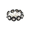 TEMO 10 pc Nylon Plastic Bristle 3/4 Inch Flat Wire