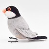 13 Java Sparrow
