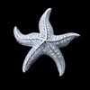 OBONNIE Broche de perlas de estrella de mar de cristal