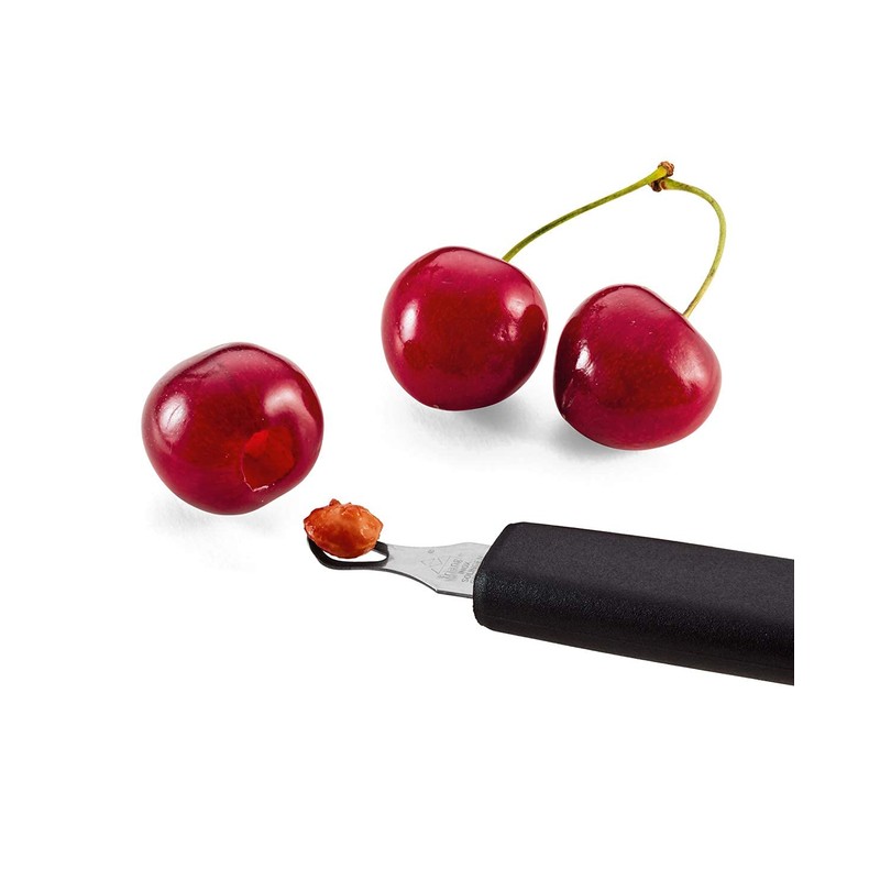 triangle 10 011 04 00 Cherry Pitter Made in Solingen
