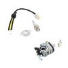 Carburetor Kit Spark Plug Oil Tube Assembly for Poulanpro 46cc