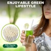 Chunspak 7.75 Inch Disposable Paper Drinking Straws Bulk Individually Wrapped,