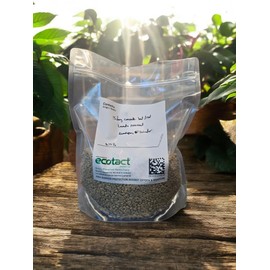 Tesoros Del Pais Green Unroasted Coffee Beans Ahuachapan, El Salvador Single Estate High Elevation (Wet Milled, 3 lb)