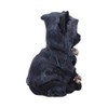 Nemesis Now Feline Cloaked Grim Reaper Cat Figurine, Polyresin, Black,