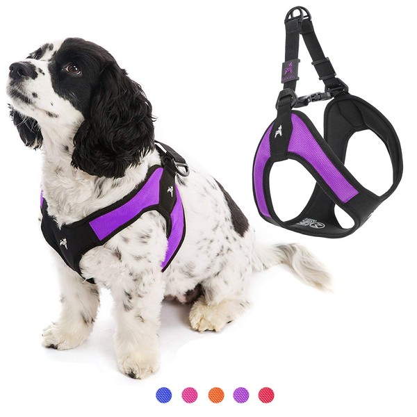 Gooby Escape Free Easy Fit Harness - Purple, Medium -