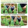 UCandy 30 Pack Garden Cloches for Plants with 60 Stakes,