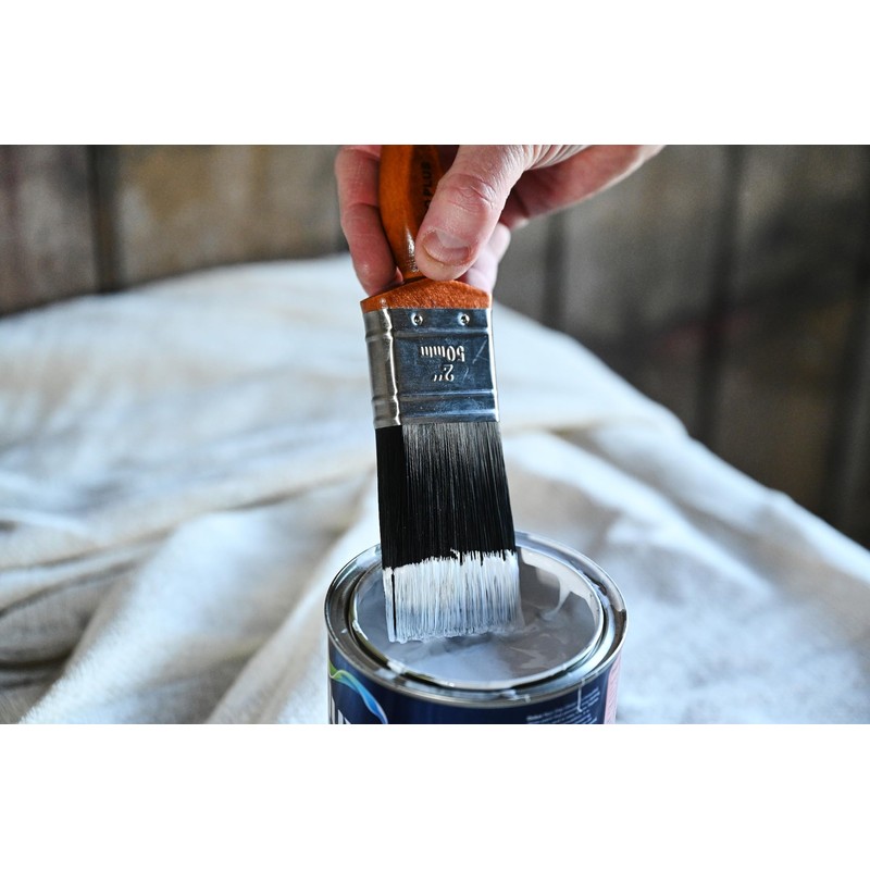 PROFESSIONAL+ 6 Piece Paint & Varnish Brush Set - Premium