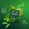 Pukka Supreme Matcha Green Herbal Tea - Energizing Daily Vitality