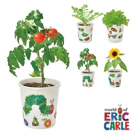 Seishin Ceramics HP-0101 Harapeko Aomushi Peta & Sukusuku Cultivation Set, Mini Tomato Size: Approx. W4.1 inches (10.5 cm), D4.1 inches (10.5 cm), H11.5 H11.5