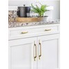 Goo-Ki 6pack Champagne Bronze Cabinet Drawer Knobs - 3" Full
