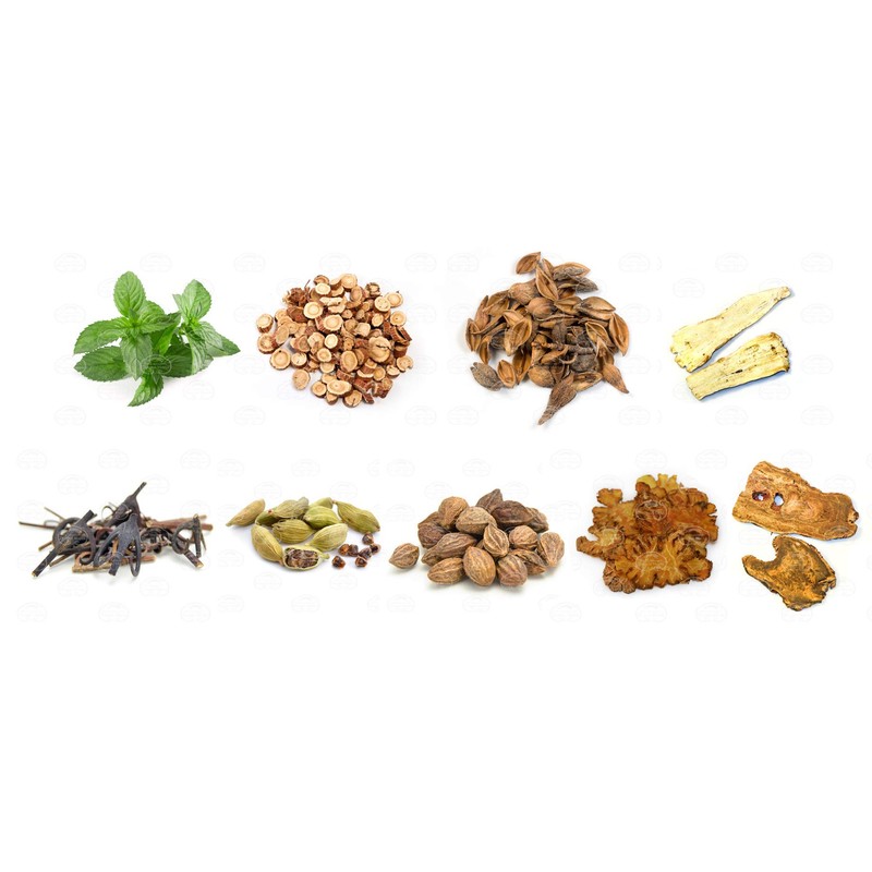 Dragon Herbs - Golden Voice Capsules - 100 Capsules, 500