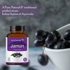 Herb Essential Organic Jamun Seed Tablets - 500 mg (60