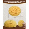 Rokkuon 4Pcs Knockdown Texture Sponges, Sponge for Patch/Repair Ceiling Drywall