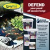 EasyPro AQD1 Aqua Defend All Natural Pond Water Treatment -