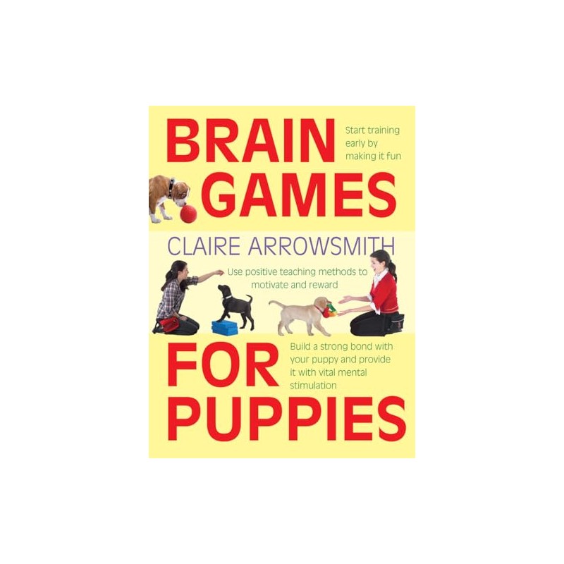 Brain Games for Puppies