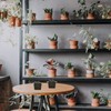 Juego de 10 cestas de plástico para plantas de estanque