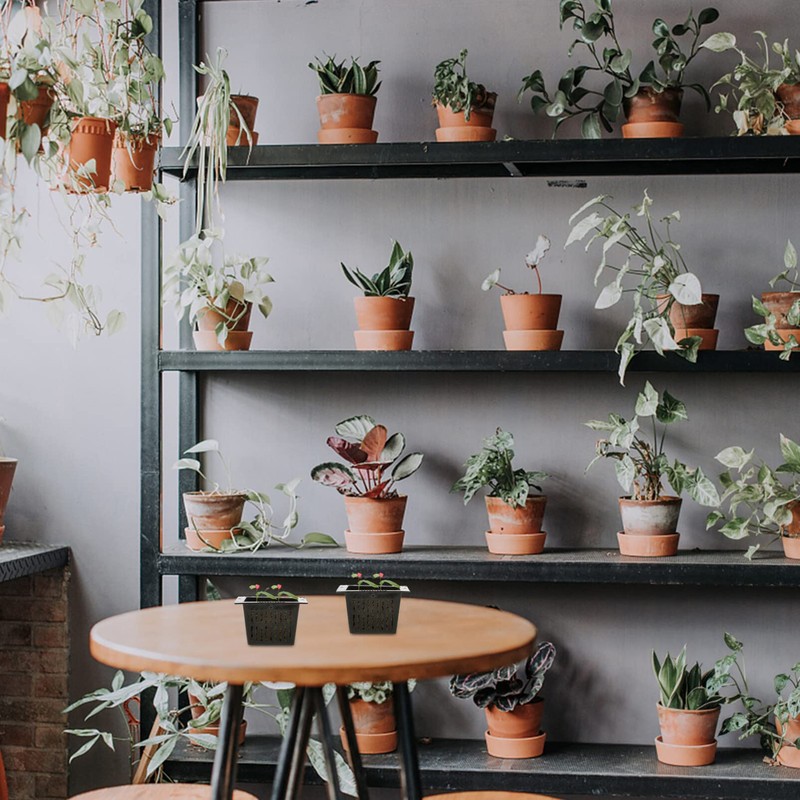 Juego de 10 cestas de plástico para plantas de estanque