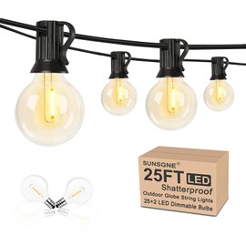 25Ft Globe Led String Lights Waterproof Shatterproof, Connectable Hanging Patio String Lights with 25 LED Plastic Clear Bulbs, Outdoor Indoor Lights for Room Café Bistro Pergola Tents, Black Wire