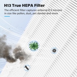 CFKREYA 2 Pack True HEPA Replacement Filter for Fellowes AeraMax 290/300/DX95 Purifiers and HF-300/AP-300PH, Fits Part# 9287201 & 9324201, 2 HEPA Filter and 6 Carbon Filter