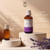 Tea Garden Company Aceite Esencial Puro Lavanda 100% Natural 65