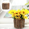 Operitacx 3pcs Wood Bark Flower Pot Natural Log Succulent Planter