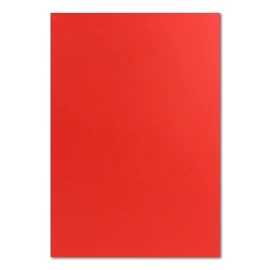 FarbenFroh by GUSTAV NEUSER 350 x DIN A4 Paper - Red - 110 g/m² - 21 x 29.7 cm - Writing Paper Craft Paper Coloured Paper Letter Sheet