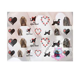 Dog Pet Breed: Afghan Hound Nail Art Decals