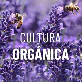 OLEUM VITAE Crema Corporal con Aceite Esencial de Lavanda. Altamente hidratante y suavizante. Con extractos de Caléndula, Aloe Vera y Manzanilla. 250gr