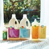 sonett SNN1639 Bleach, Powder, Oxygen Detergent, Tea Stain, 15.2 oz