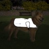 Proviz Waterproof Dog Jacket REFLECT360-100% Reflective and Waterproof (Large)