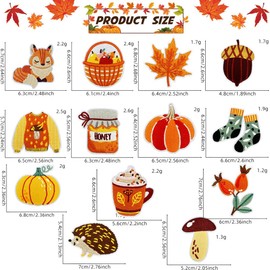 13PCS Fall Iron On Patches, Thanksgiving Day Embroidered Patches, Cute Squirrel Pumpkin Maple Leaf Hedgehog Sew on Iron on Appliques for Thanksgiving Autumn DIY Craft Clothing Bag Decor Party Supplies