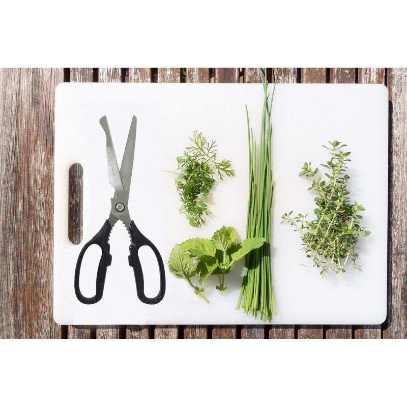 SD Queen Korean BBQ Kalbi Meat Cutting Scissors Large