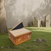 10 Frame Langstoth Deep Brood Beehive Box, Bee Box Dipped