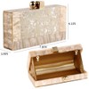 Menurra Women Acrylic Evening Clutch bag Glitter Marble Purse Handbag