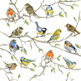 Assorted Bird Napkins for Decoupage - 12 Styles, 1 Each, 6.5