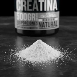 Creatina Pura Monohidratada Holix Lab 500g 100 Serv Creatina Micronizada