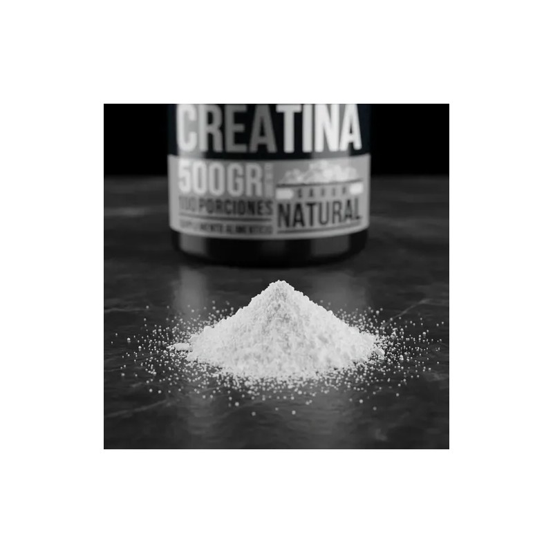 Creatina Pura Monohidratada Holix Lab 500g 100 Serv Creatina Micronizada