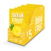 URBAN FRUIT Pineapple - Gently Baked Fruit - No Added