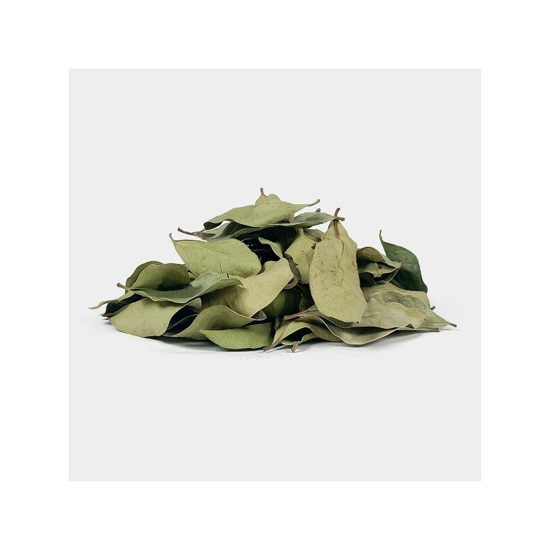 국산 구아바 구아바잎 100g 구아바나무잎 Korean Guava Leaf 100g Guava