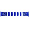 Everton FC Crest Bar Scarf